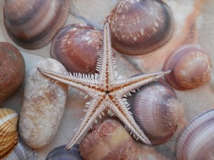 Раннее бронирование 2017: Греция