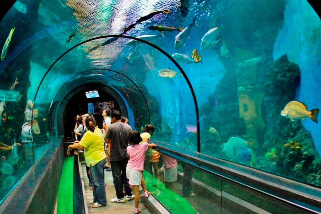 Океанариум, Пхукет (Phuket Aquarium)