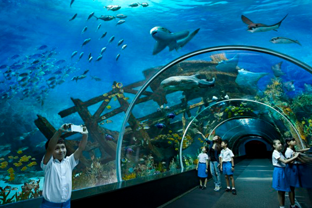 Вьетнам. Нячанг. Океанариум Чи Нгуен